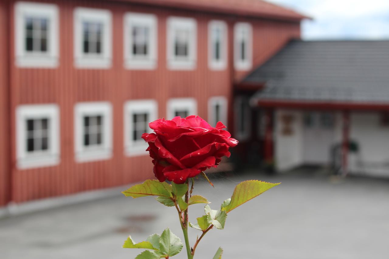 Fredheim Livsstilssenter Hotel Saggrenda Buitenkant foto
