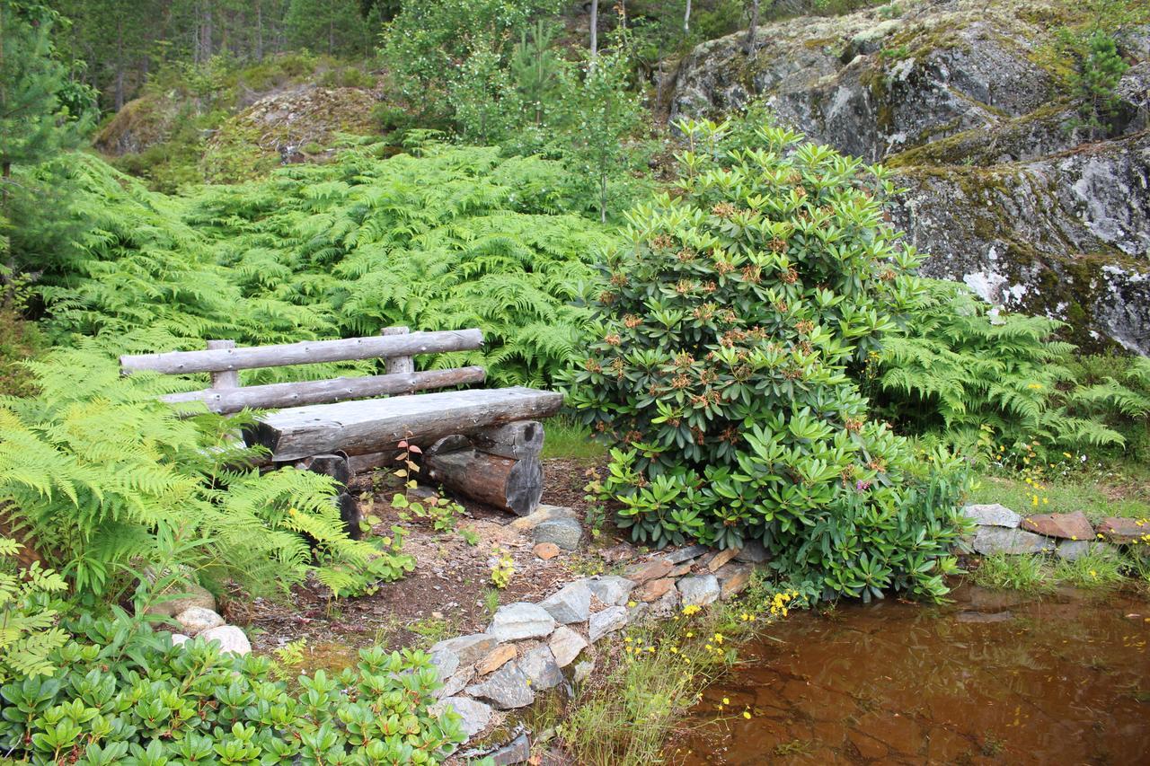 Fredheim Livsstilssenter Hotel Saggrenda Buitenkant foto