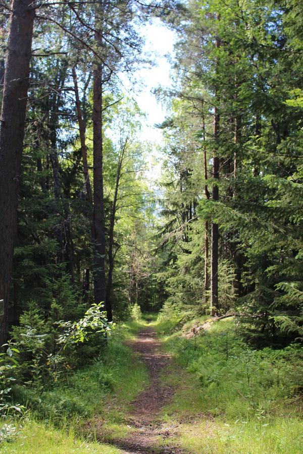 Fredheim Livsstilssenter Hotel Saggrenda Buitenkant foto